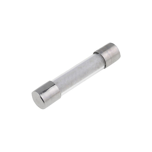 Scharnberger+Hasenbein Feinsicherung 5x25 mm flink 250V 6,3A 62456